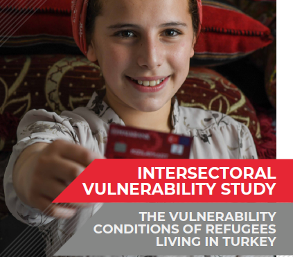 Intersectora vulnerability report