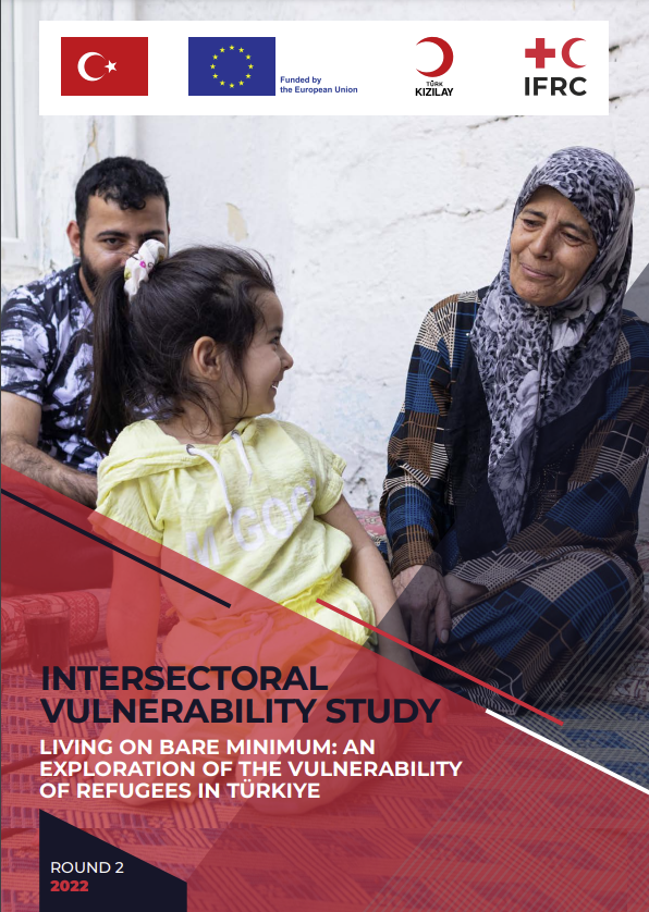 Intersectional Vulnerability Study