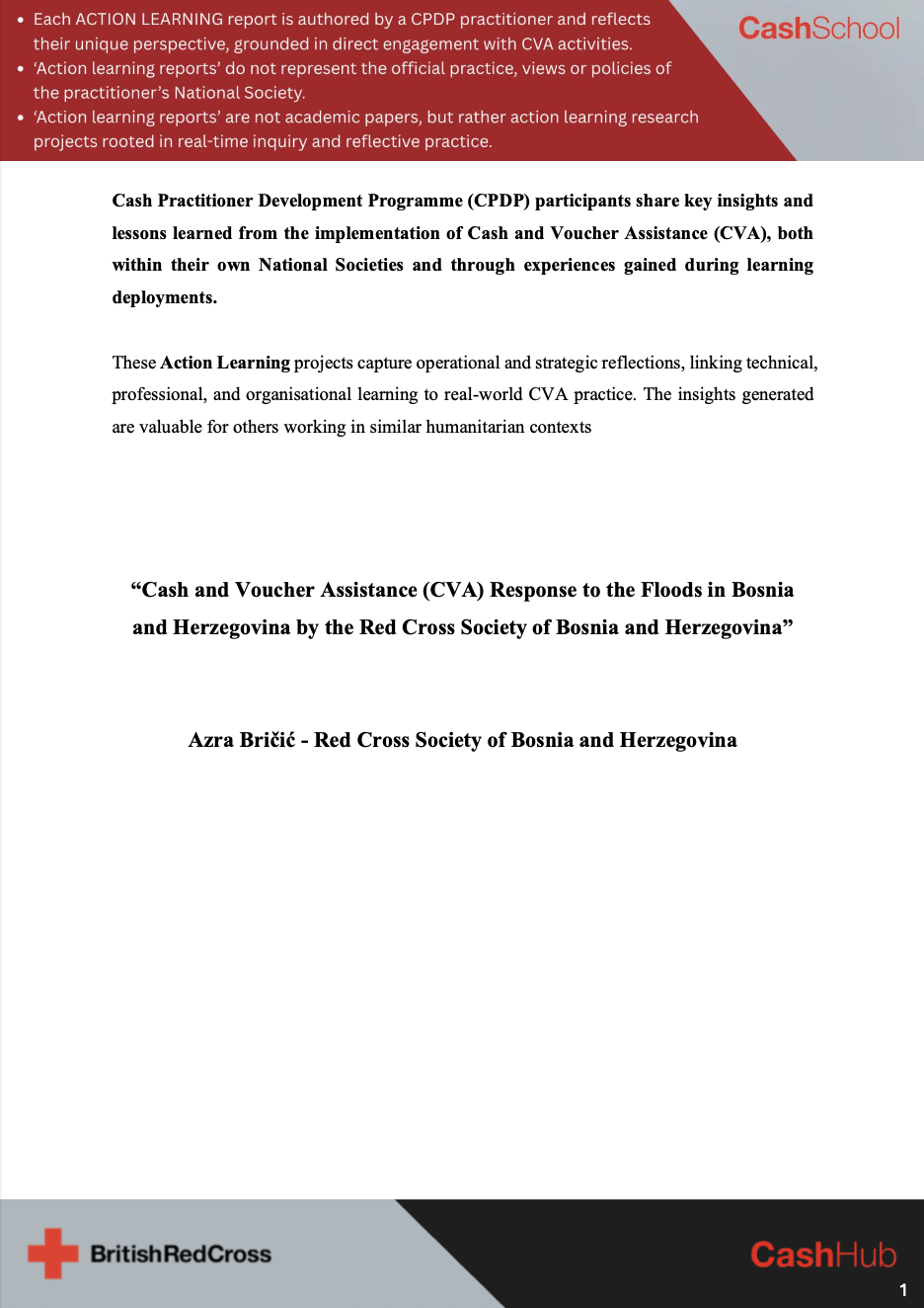 Thumbnail - Azra Bričić Action Learning Report