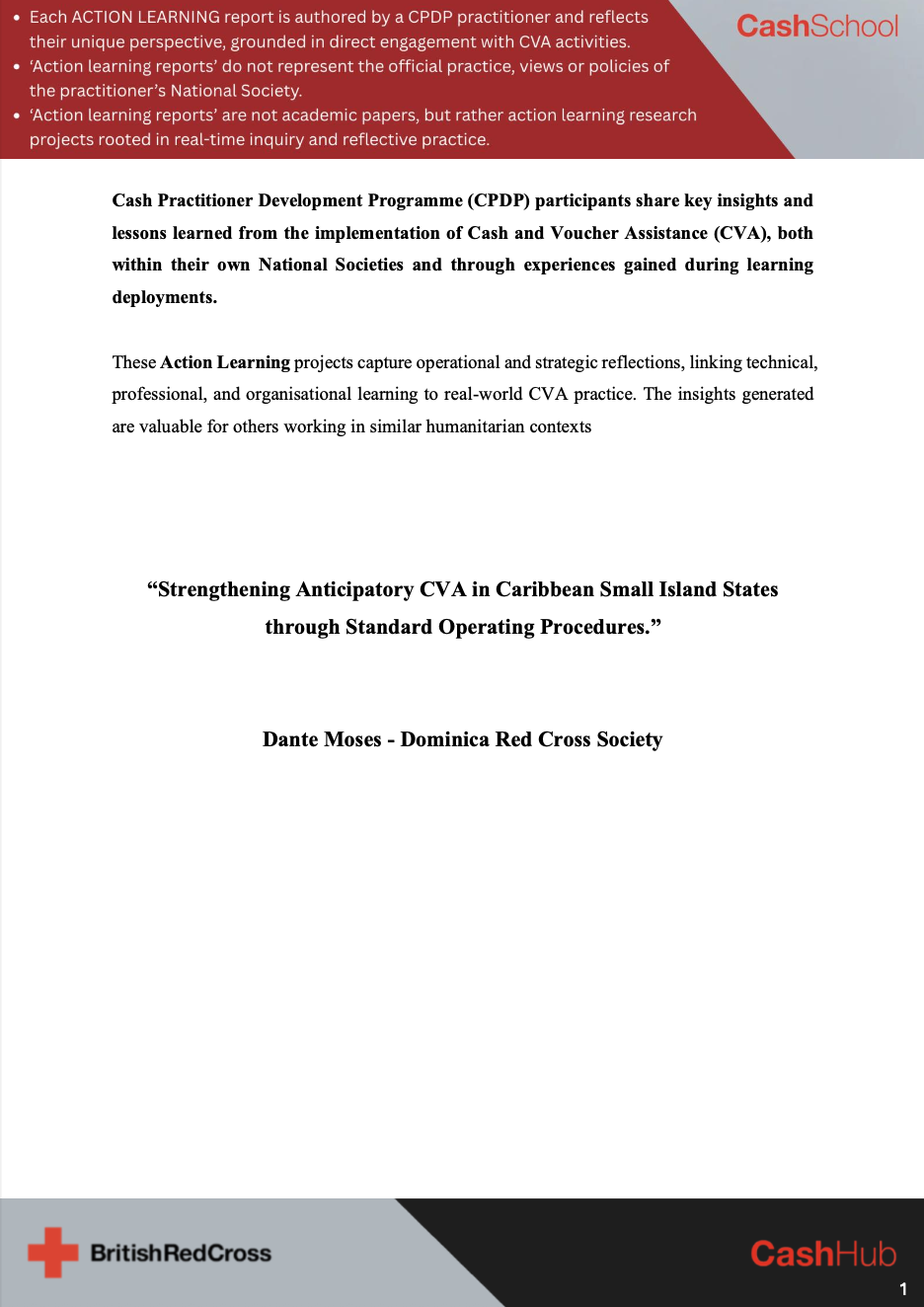 Thumbnail - Dante Moses Action Learning Report