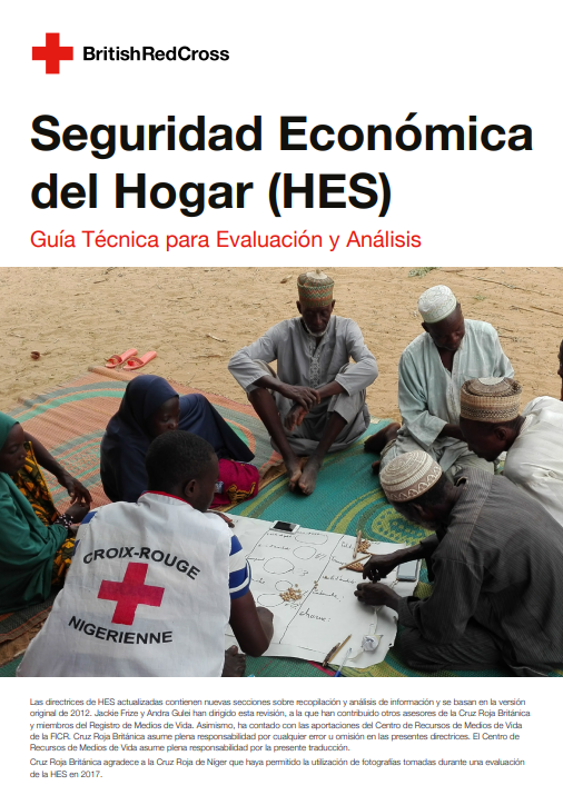 IMAGE: 2021_06-Spanish-HES-Main-Guidelines